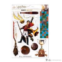 Wizarding World Harry Potter Sada 6 kusů magnetek QUIDDITCH (Famfrpál)  Harry Potter - MAP5020