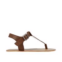 ANGLES ARES Brown