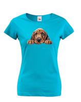 Dámské tričko Bloodhound - tričko pro milovníky psů