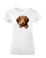 Dámské tričko Jezevčík - tričko pro milovníky psů