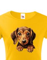 Dámské tričko Jezevčík - tričko pro milovníky psů