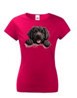 Dámské tričko s potiskem Novofundlandský pes -  tričko pro milovníky psů