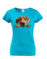 Dámské tričko s potiskem Rhodéský ridgeback -  tričko pro milovníky psů