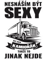 Keramický hrnek pro řidiče kamionu / Kamioňák - Nesnáším být sexy