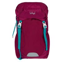 Outdoorový batoh BAAGL Tracker Roj - 14 L