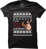 Pánské fitness tričko Brodolf