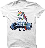 Pánské fitness tričko Ponybuilder