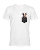 Pánské tričko Anglický chrt - kvalitní tisk a rychlé dodání