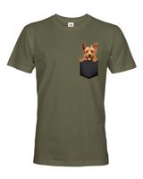 Pánské tričko Austrálsky teriér v kapsičce - kvalitní tisk a rychlé dodání