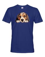 Pánské tričko Bígl - tričko pro milovníky psů