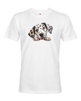 Pánské tričko Dalmatin - tričko pro milovníky psů