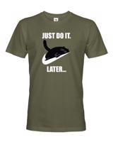 Pánske tričko - Just do it later