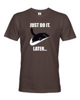 Pánske tričko - Just do it later