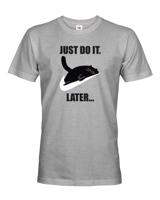 Pánske tričko - Just do it later