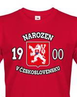Pánské tričko k narozeninám - Narozen v Československu