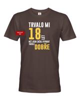 Pánské tričko k narozeninám trvalo mi 18 let než jsem začal vypadat takhle skvěle