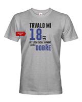 Pánské tričko k narozeninám trvalo mi 18 let než jsem začal vypadat takhle skvěle