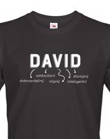 Pánské tričko k svátku s jménem David
