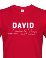 Pánské tričko k svátku s jménem David