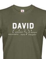 Pánské tričko k svátku s jménem David