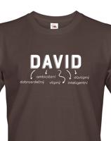Pánské tričko k svátku s jménem David