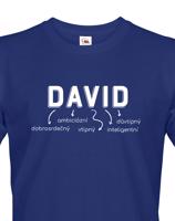 Pánské tričko k svátku s jménem David