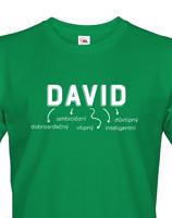 Pánské tričko k svátku s jménem David
