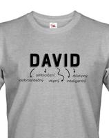 Pánské tričko k svátku s jménem David