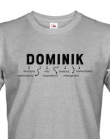 Pánské tričko k svátku s jménem Dominik