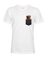 Pánské tričko Leonberger - kvalitní tisk a rychlé dodání