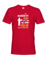 Pánské tričko pro včelaře - Nesnáším být sexy ale jsem včelař takže to jinak nejde!