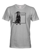 Pánské tričko Rotvajler -  dárek pro milovníky psů