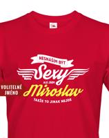 Pánské tričko s originálním motivem Nesnáším být sexy, ale jsem ...