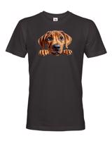 Pánské tričko s potiskem Rhodéský ridgeback -  tričko pro milovníky psů