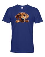 Pánské tričko s potiskem Rhodéský ridgeback -  tričko pro milovníky psů