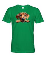Pánské tričko s potiskem Rhodéský ridgeback -  tričko pro milovníky psů