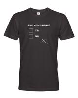 Pánské tričko s vtipným potiskem Are you drunk? - vtipné pánské tričko