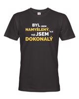 Pánské tričko s vtipným potiskem Byl jsem namyšlený, ale teď jsem dokonalý