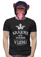 Pánské tričko s vtipným potiskem Králové jsou narozeni...