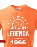 Pánské volejbalové tričko Volejbalová legenda