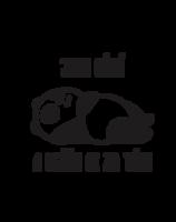 Polštář - Jsem líná a ležím si za tím!  - ideální dárek pro ženy