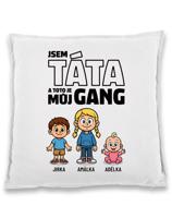 Polštář pro Tátu - můj gang