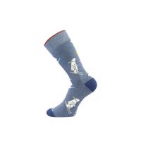 PONOŽKY SILNÉ CELOFROTÉ FROOLOO s obrázky MEDVĚDŮ na lyžích - 43–46