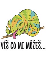 Vtipný plecháček Víš co mi můžeš - dárek na narozeniny nebo Vánoce