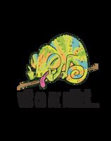 Vtipný polštářek Víš co mi můžeš - dárek na narozeniny nebo Vánoce