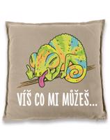 Vtipný polštářek Víš co mi můžeš - dárek na narozeniny nebo Vánoce
